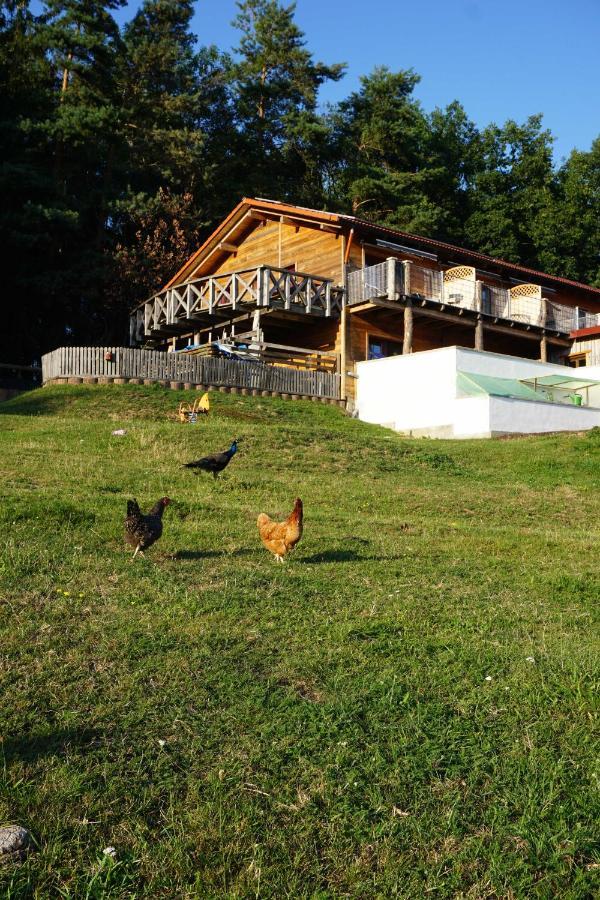 Ferienwohnung Gradlhof Postbauer-Heng Exterior foto